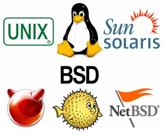 UNIX, Linux, Sun Solaris, BSD